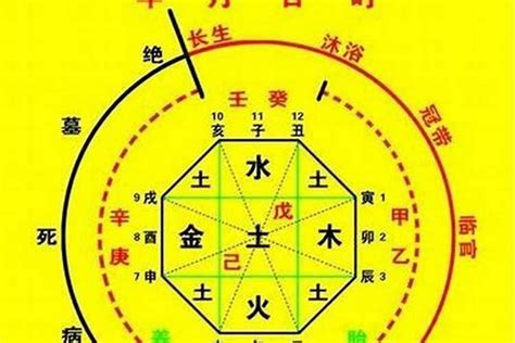 人的五行屬性|生辰八字算命、五行喜用神查詢（免費測算）